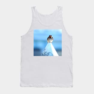 Welcome Swallow Tank Top